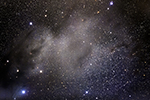 Barnard 19, labeled image