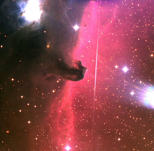 Horsehead Nebula PlaneWave CDK24 image