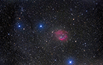 Lower's Nebula (SH2-261)